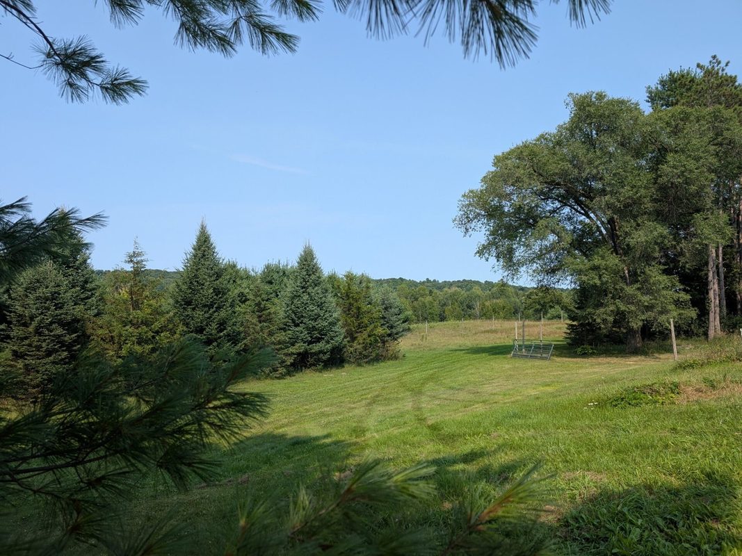 E7231 County Road W, Ridgeland WI 54763 - Residential house for sale - MLS #1604156 - image22