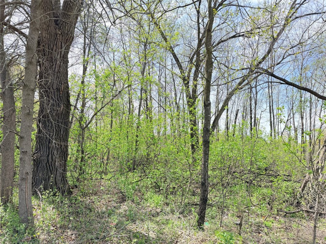 Lot 11 27th Court, Chippewa Falls WI 54729 - Land house for sale - MLS #1593541 - image10