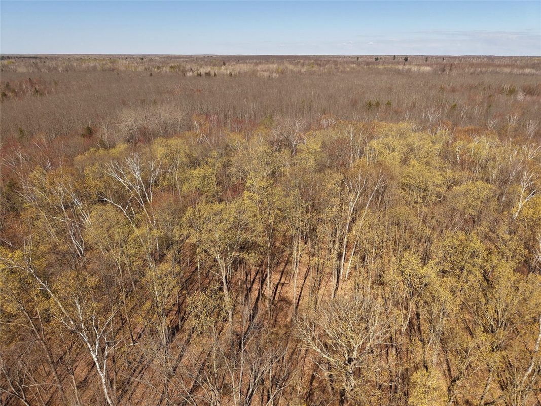 15138 Crotte Brook Trail, Danbury WI 54830 - Residential house for sale - MLS #1600976 - image39
