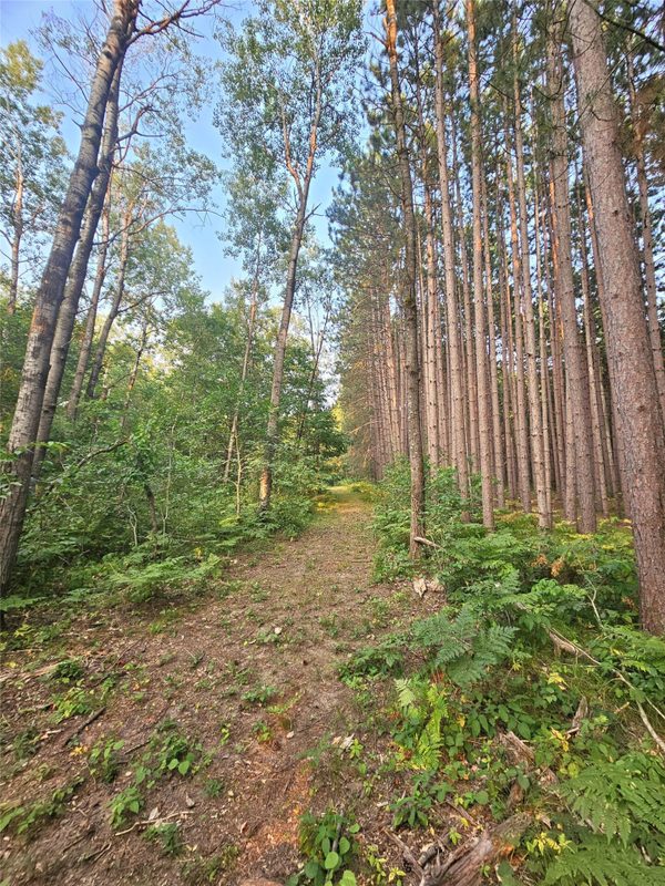 N8356 Lincoln Lake Road, Trego WI 54888 - Land house for sale - MLS #1604319 - image25