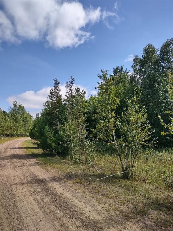 TBD Lot 7 10 1/4 Avenue, Chetek WI 54728 - Land house for sale - MLS #1595118 - image3