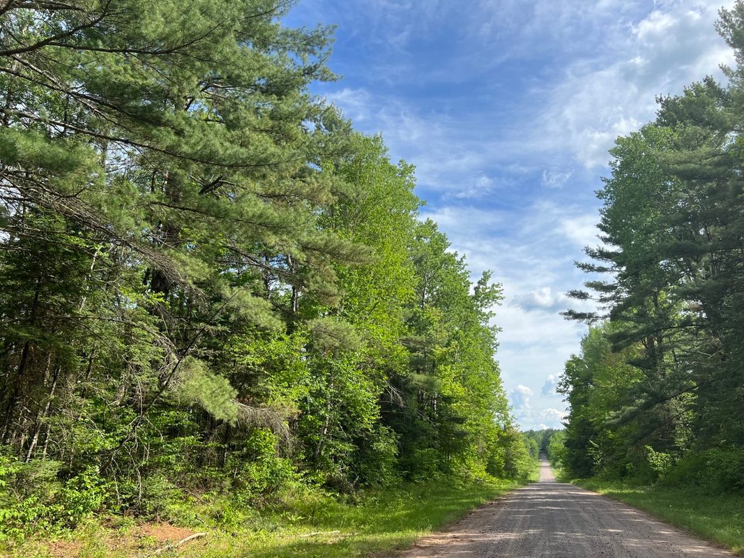 Lot 1 Smith Road, Couderay WI 54828 - Land house for sale - MLS #1601877 - image6