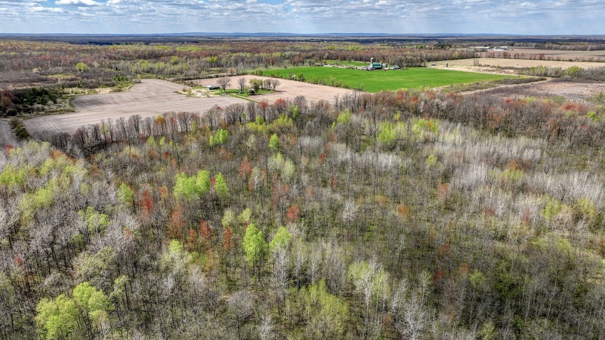 27.6 Acres off Helena Drive, Conrath WI 54731 - Land house for sale - MLS #1605499 - image9