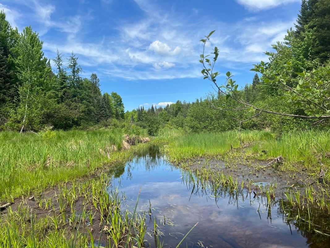 Lot 1 Smith Road, Couderay WI 54828 - Land house for sale - MLS #1601877 - image13