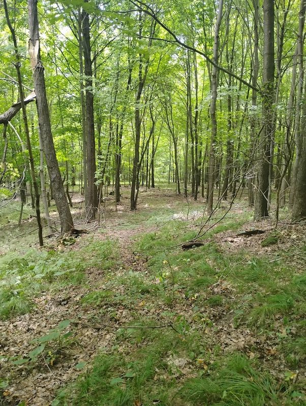 0 1130th, Colfax WI 54730 - Land house for sale - MLS #1604452 - image19