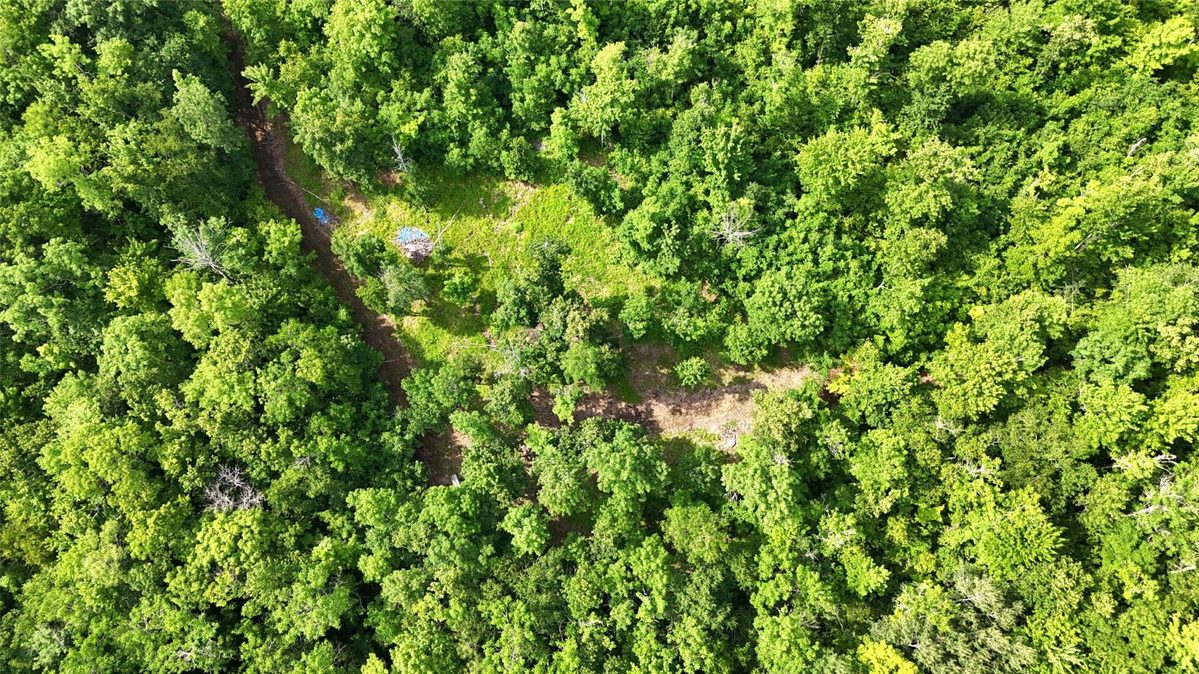 XXX Eckel Lane, Couderay WI 54835 - Land house for sale - MLS #1603143 - image17