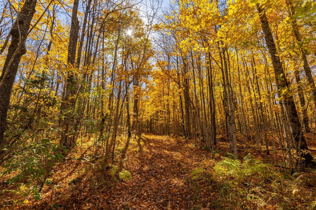 W2621 Goetzke Rd, Prentice WI 54556 - Land house for sale - MLS #1605822 - image24