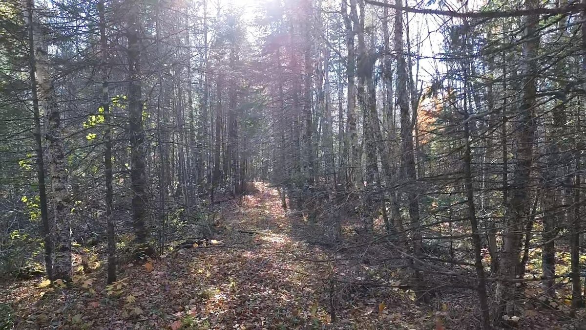 4800 43 Road, Solon Springs WI 54783 - Land house for sale - MLS #1606105 - image18
