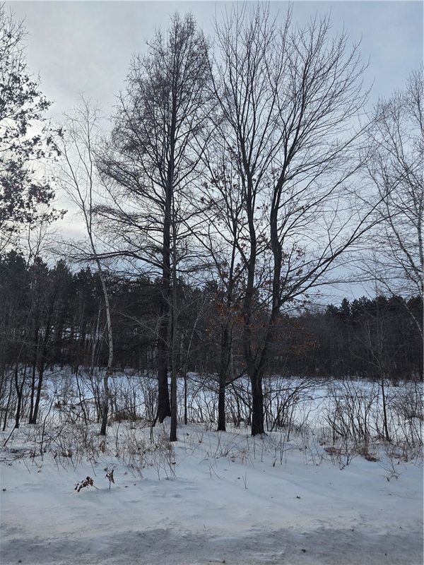 000 County Hwy G, Holcombe, WI — photo 4