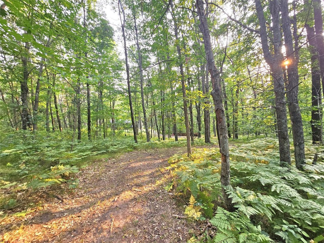 N8356 Lincoln Lake Road, Trego WI 54888 - Land house for sale - MLS #1604319 - image13