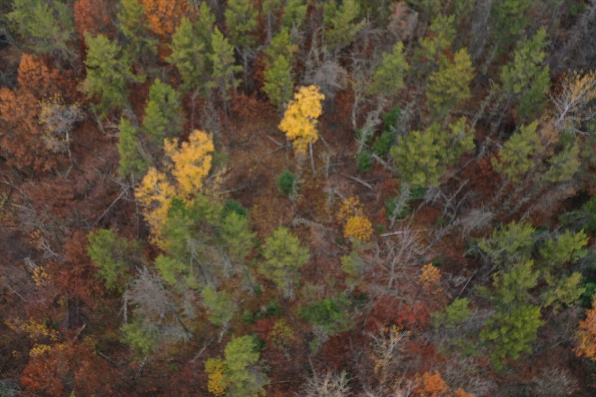 Lot 1 Spaulding Road, Grantsburg WI 54840 - Land house for sale - MLS #1606124 - image7