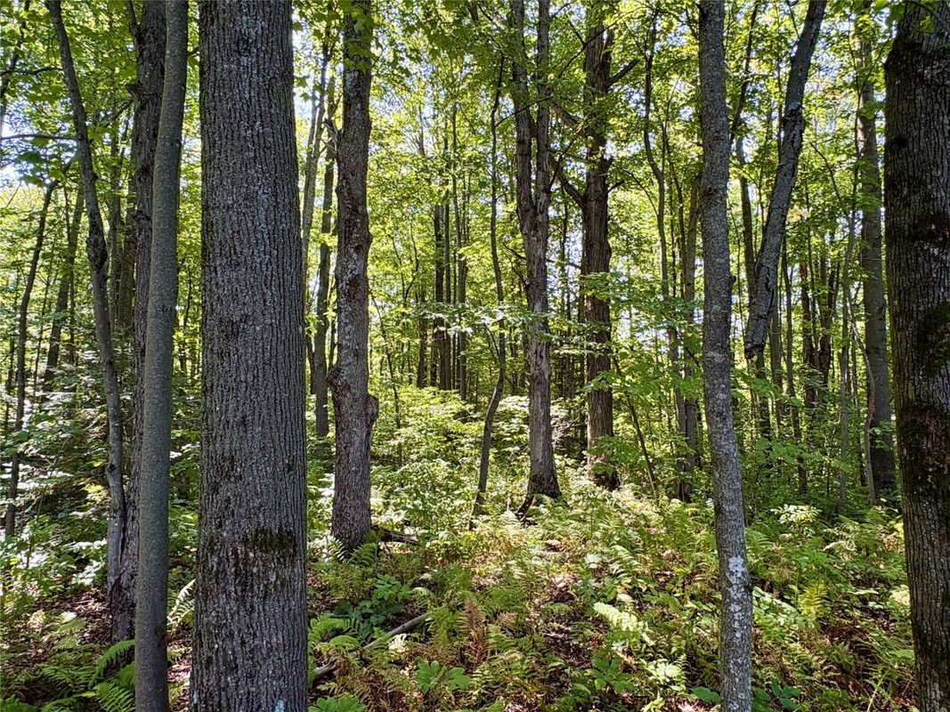 W16860 Cty Rd D, Sheldon WI 54766 - Land house for sale - MLS #1604631 - image32