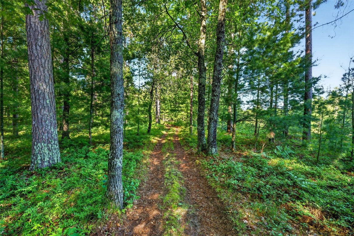 3307 State Road 77, Danbury WI 54830 - Residential house for sale - MLS #1602613 - image48
