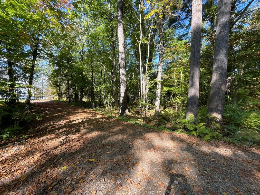 6073 Elsie Road, Stone Lake WI 54876 - Land house for sale - MLS #1602616 - image6