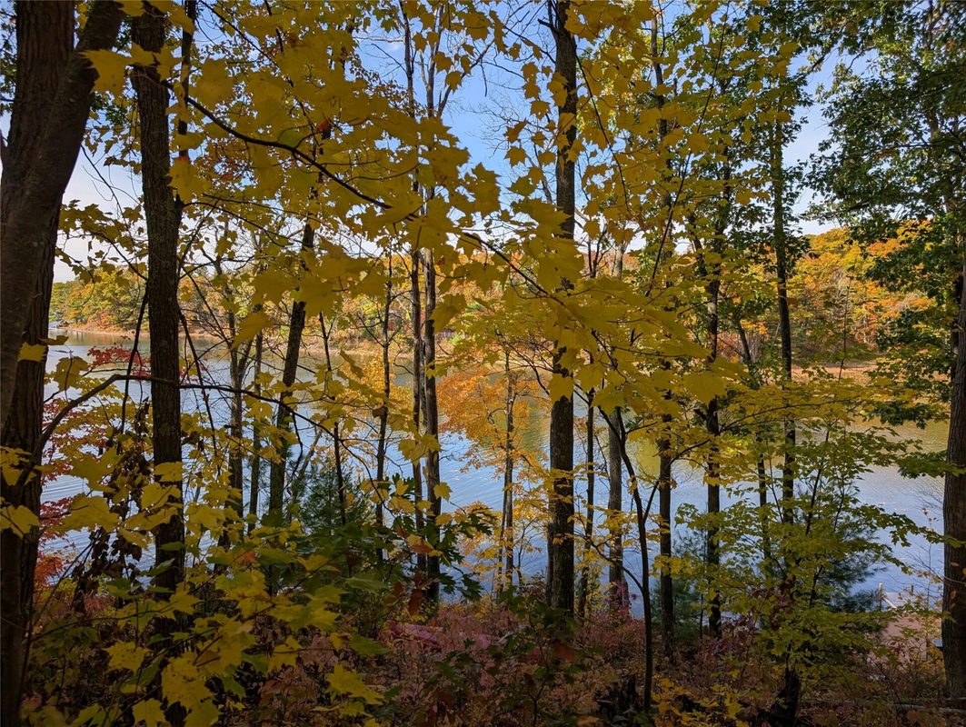 9703 Thunderbird Road, Hayward WI 54843 - Land house for sale - MLS #1605873 - image14