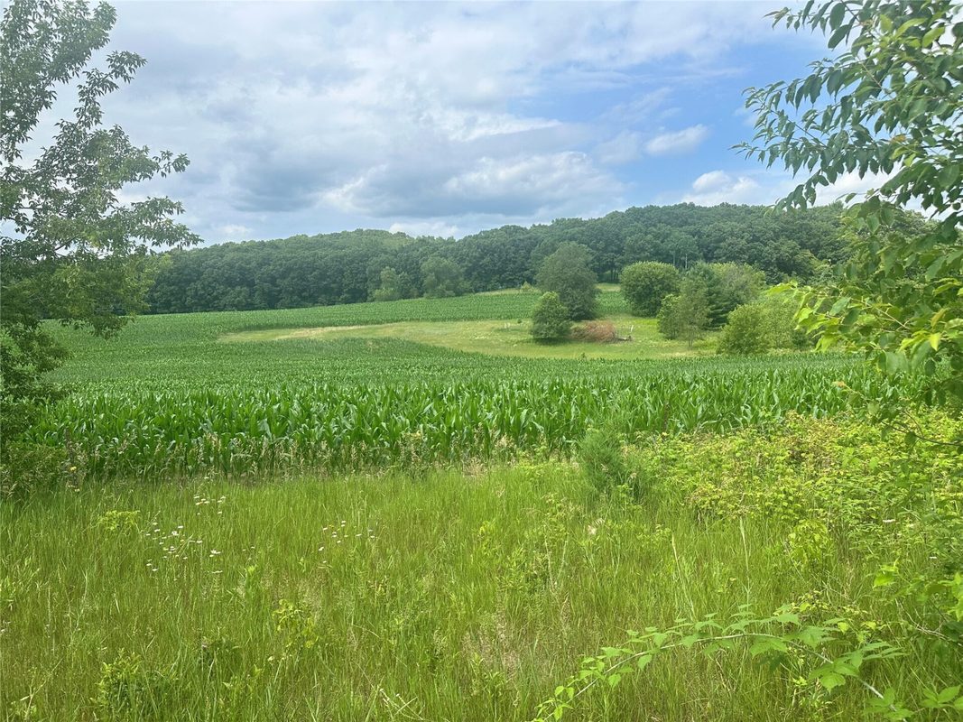 10925 Hemlock Road, Mondovi WI 54755 - Land house for sale - MLS #1604420 - image2