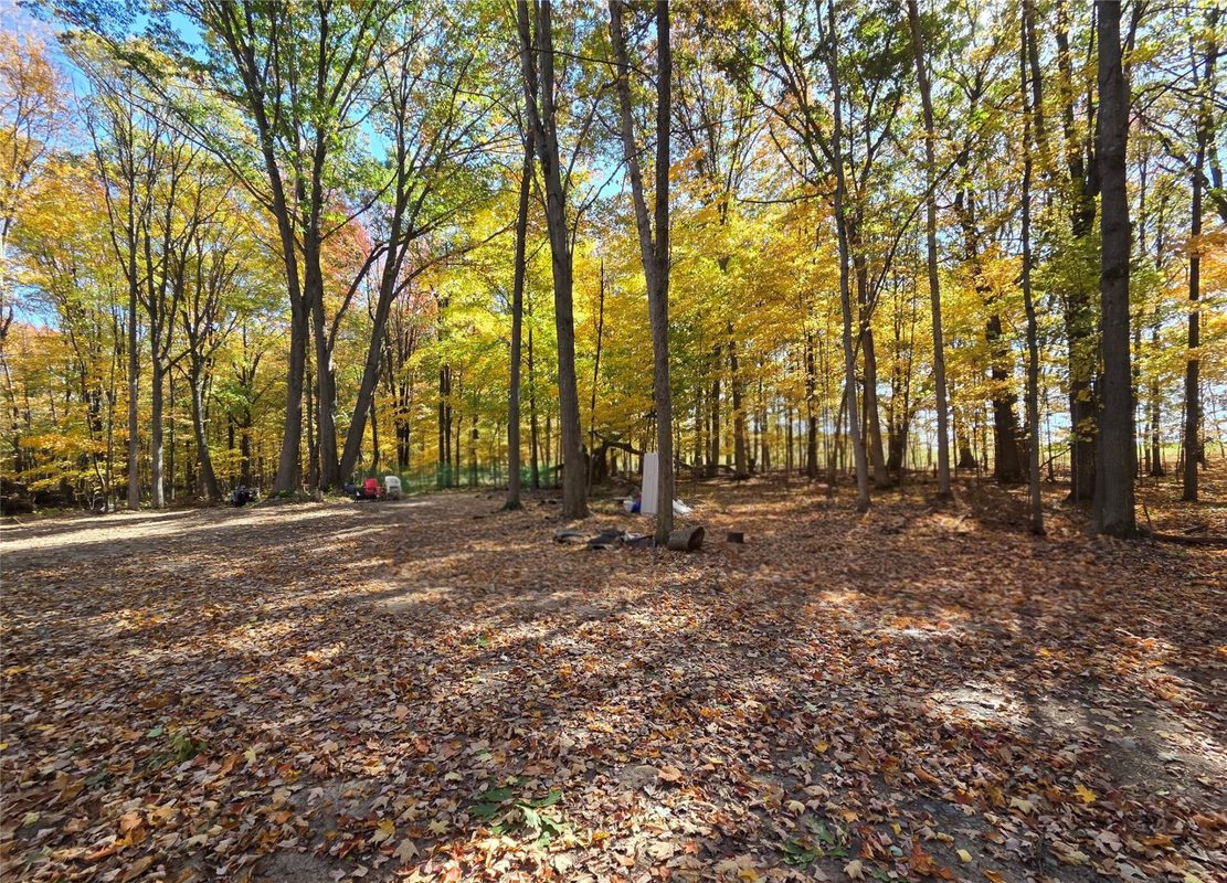2541 County Hwy D, Boyd WI 54726 - Land house for sale - MLS #1605930 - image6