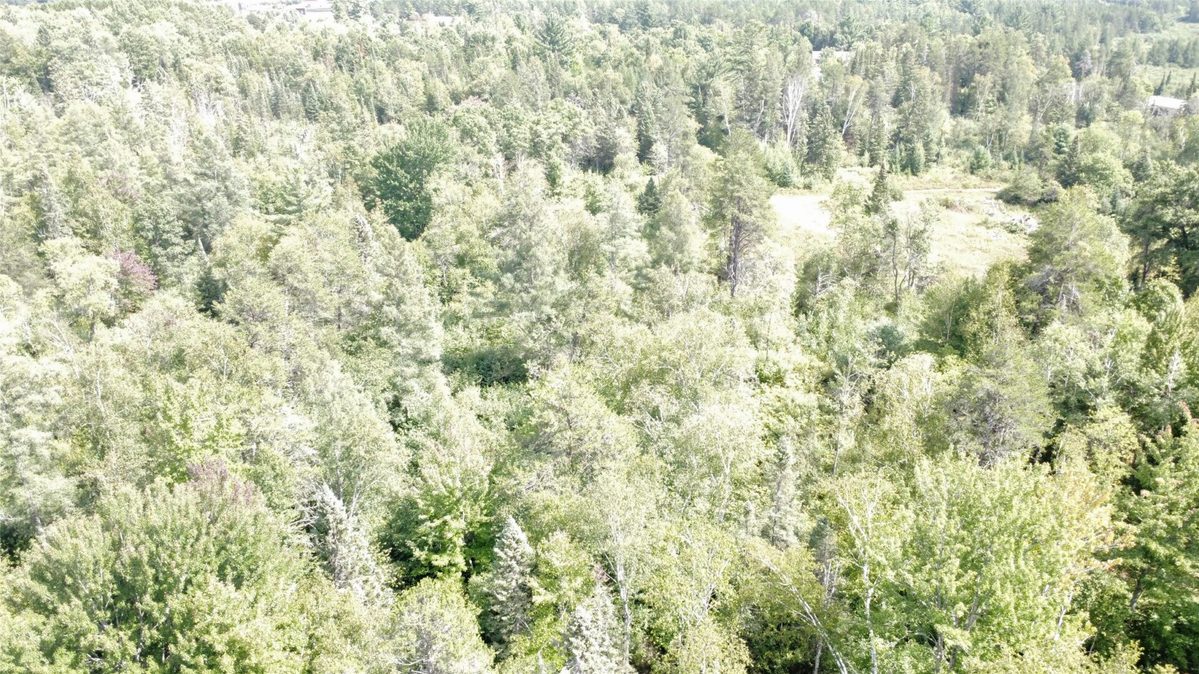 900 County Road A, Tomahawk WI 54487 - Land house for sale - MLS #1604619 - image57