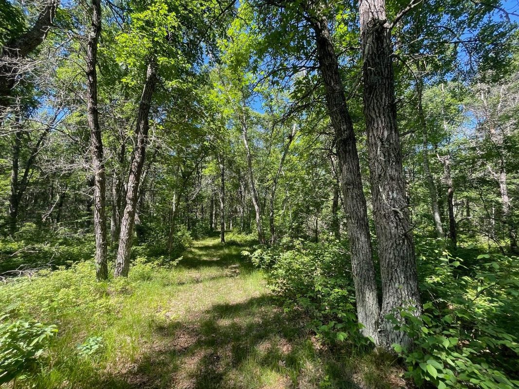 12997 Mail Road, Gordon WI 54838 - Residential house for sale - MLS #1602637 - image46