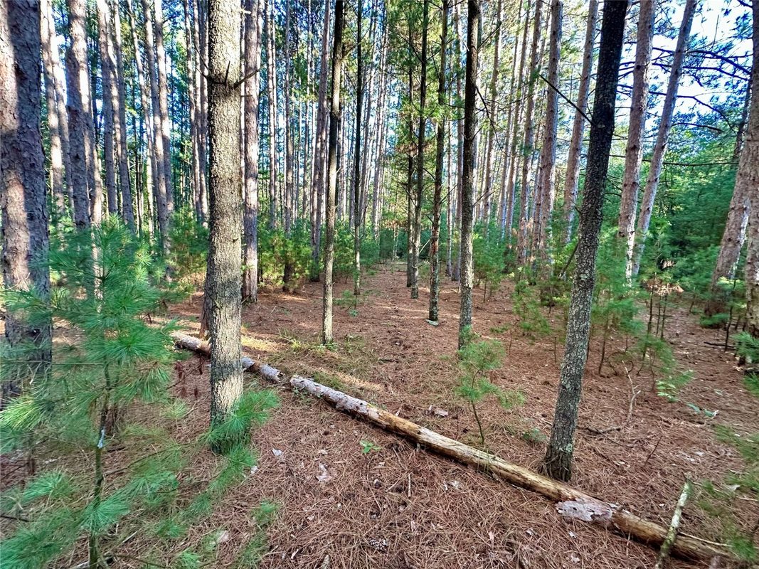 S3678 County Road N, Augusta WI 54722 - Land house for sale - MLS #1605865 - image28