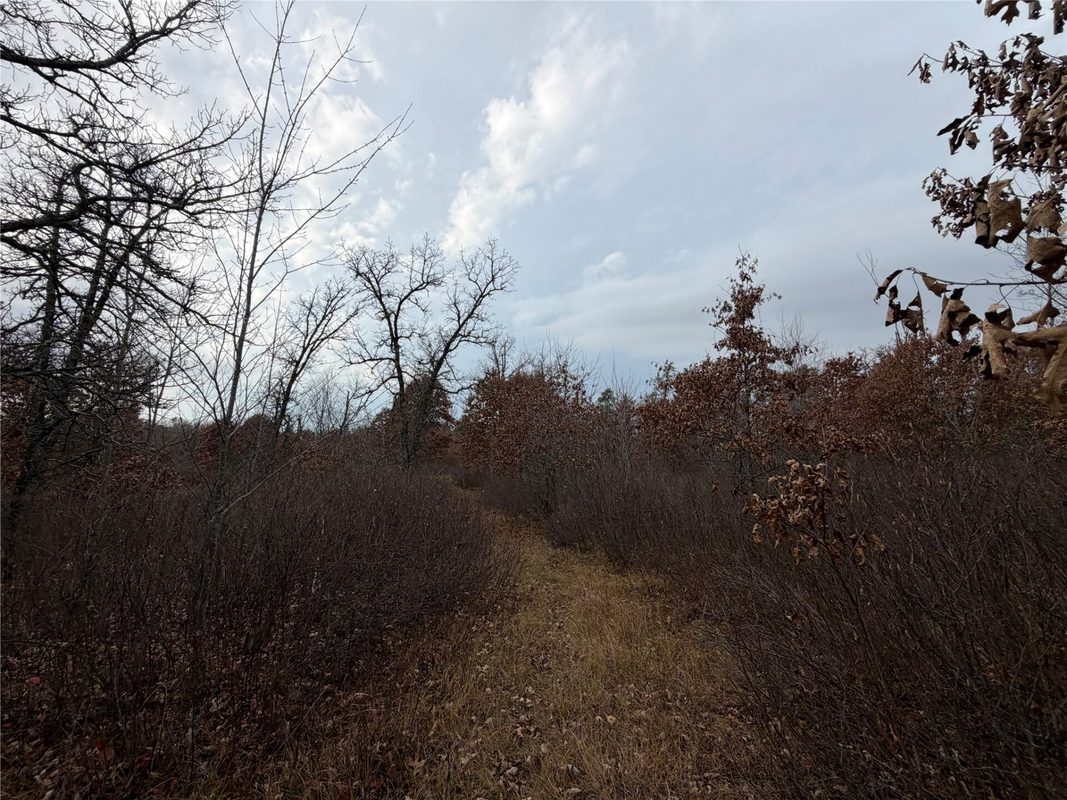 0000 280th Avenue, Sterling WI 54024 - Land house for sale - MLS #1606357 - image6