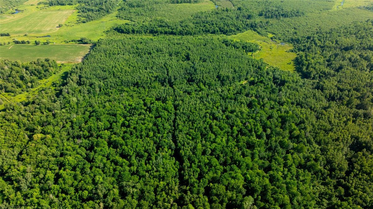 W5343 County Road X, Glen Flora WI 54526 - Land house for sale - MLS #1603306 - image15