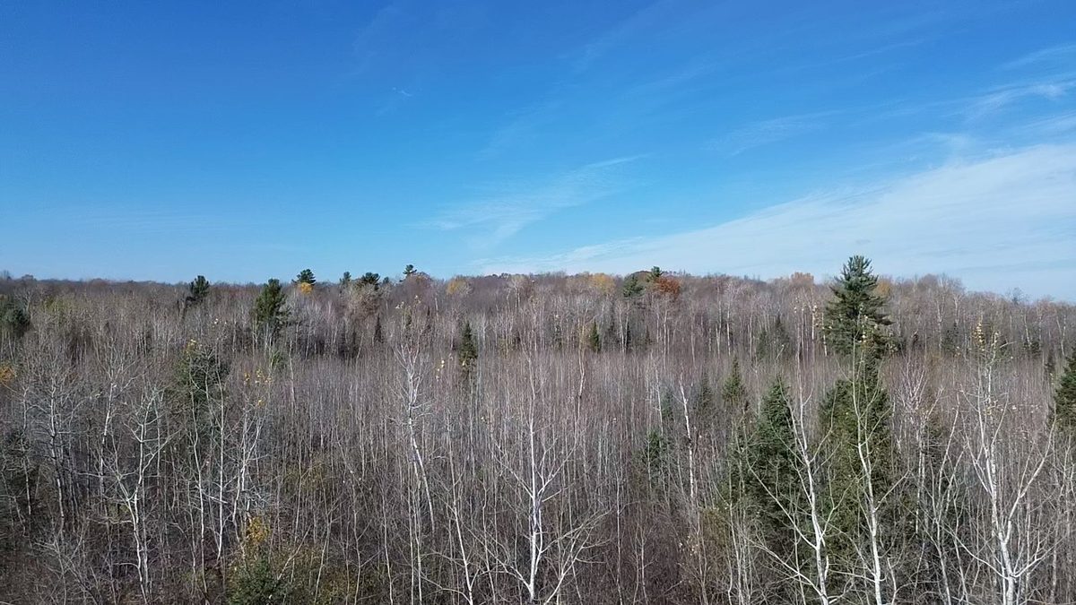 123XX W Jos R Chafer Road, Couderay WI 54828 - Land house for sale - MLS #1606292 - image13