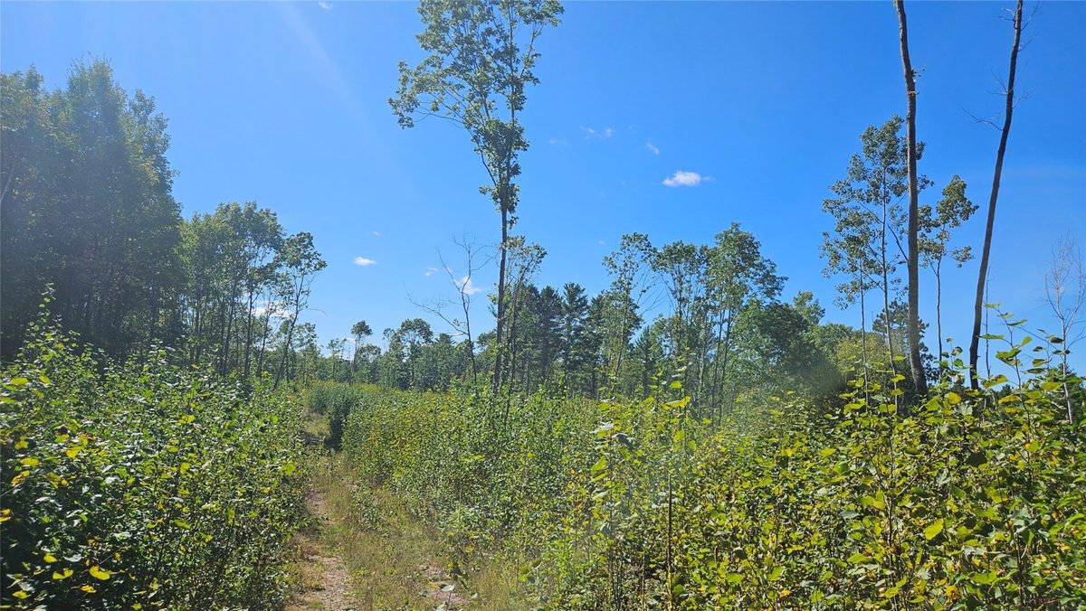 1-7 Larson Road, Hayward WI 54843 - Land house for sale - MLS #1605167 - image4