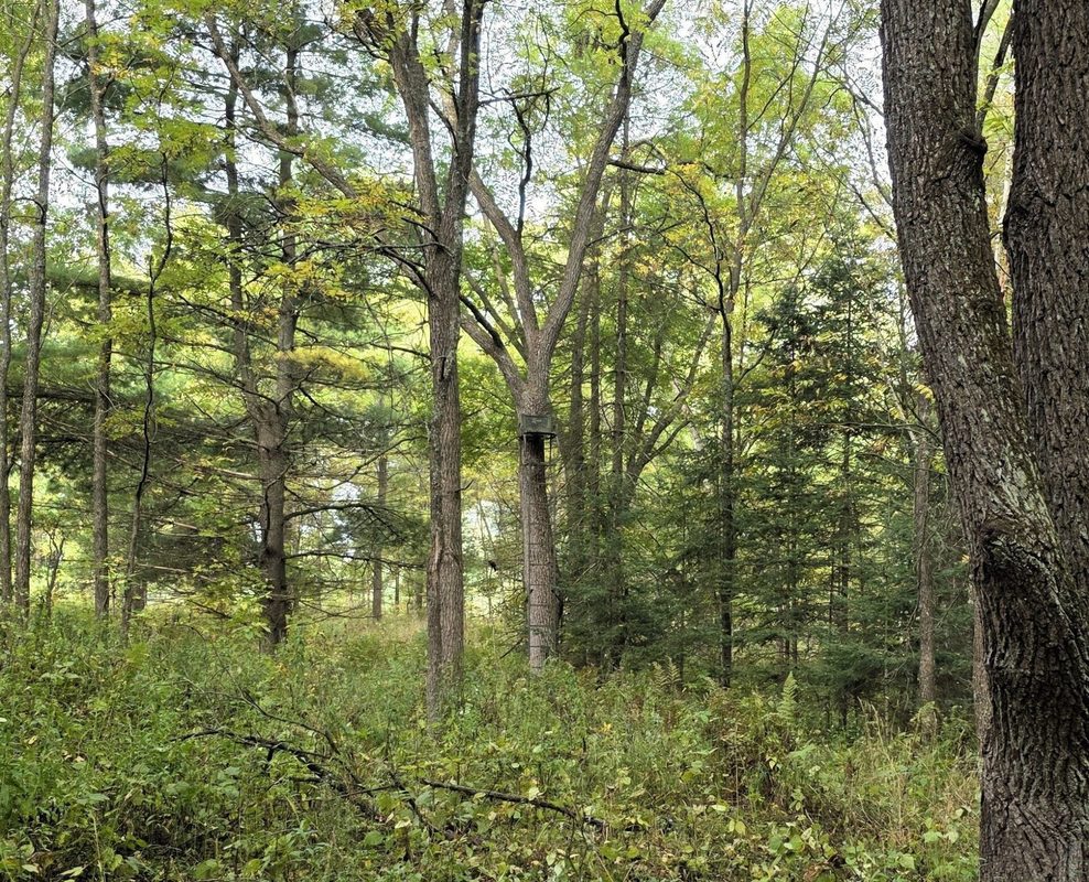 N 3368 Sawdust Rd., Bruce WI 54819 - Residential house for sale - MLS #1605552 - image25