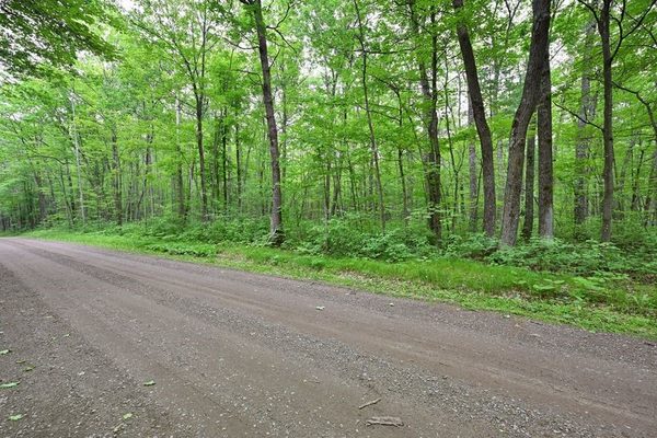 Lot 2 Chippewa Avenue, Hayward, WI