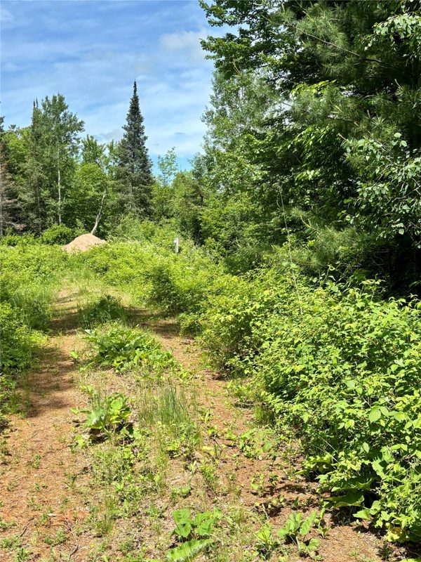 16550 Ridgerock Road, Hayward WI 54843 - Land house for sale - MLS #1591202 - image3