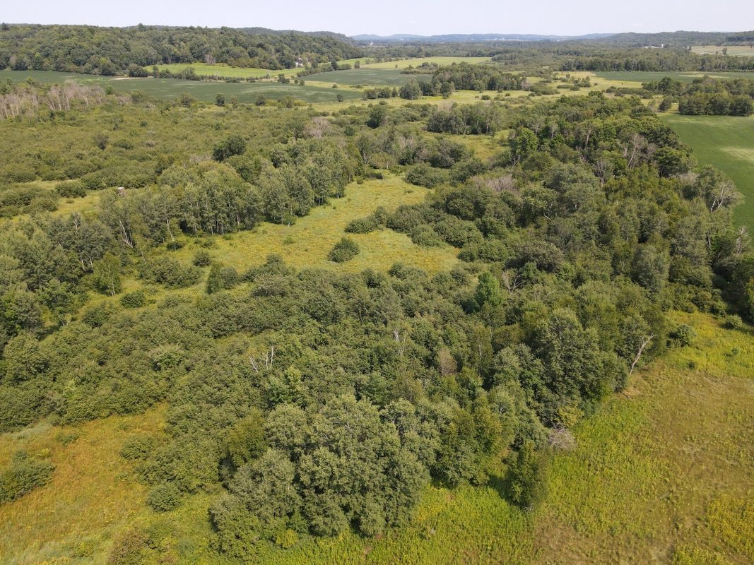 E7231 County Road W, Ridgeland WI 54763 - Residential house for sale - MLS #1604156 - image21