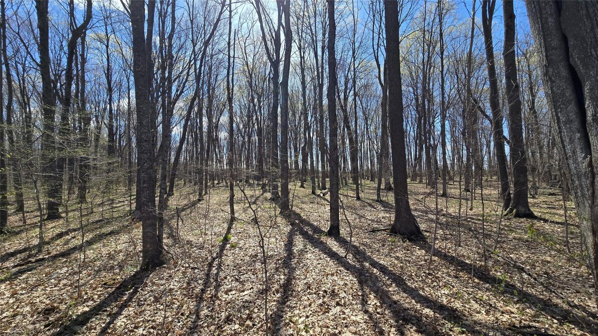 012345 26th Ave., Rice Lake, WI — photo 15