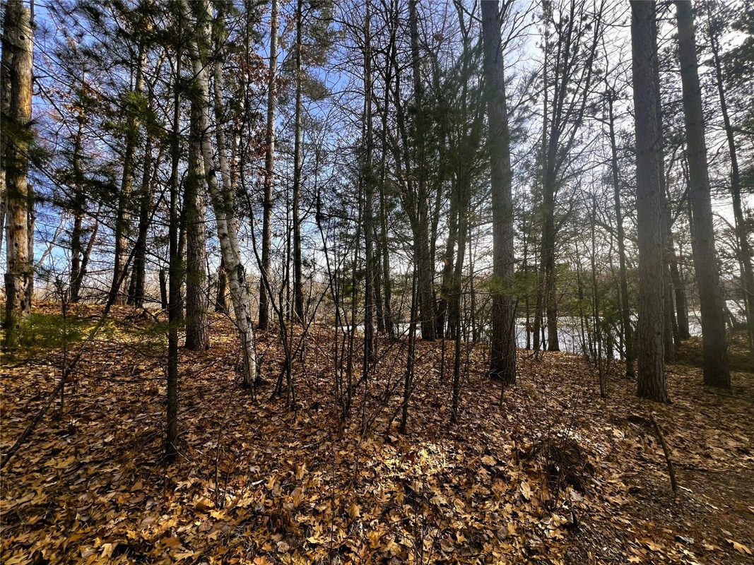 N3720 State Highway 40, Bruce WI 54819 - Land house for sale - MLS #1603658 - image19
