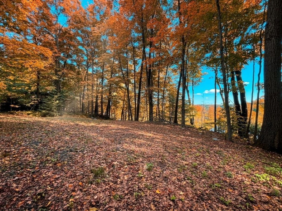 1011 5th Street, Ladysmith WI 54848 - Land house for sale - MLS #1598875 - image9