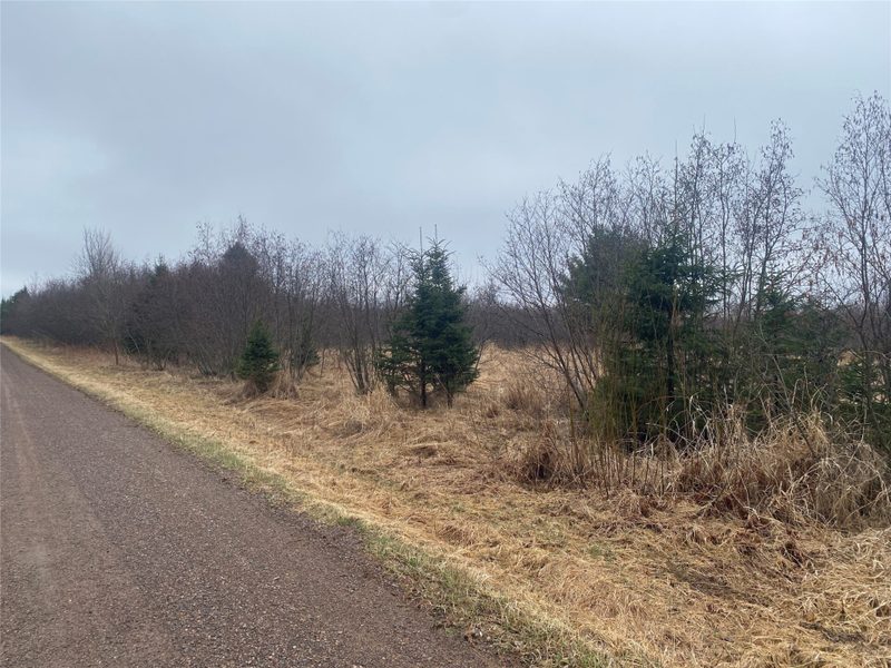 ON Shauger Road