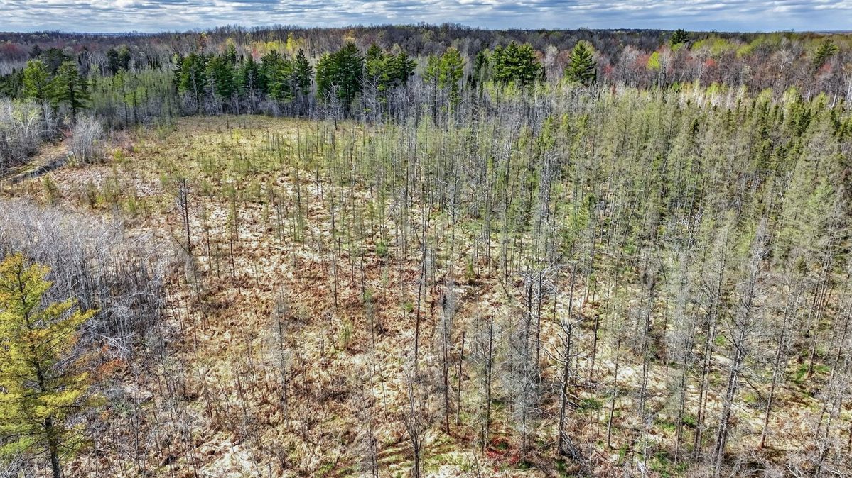W6283 County Road I, Ladysmith, WI — photo 43