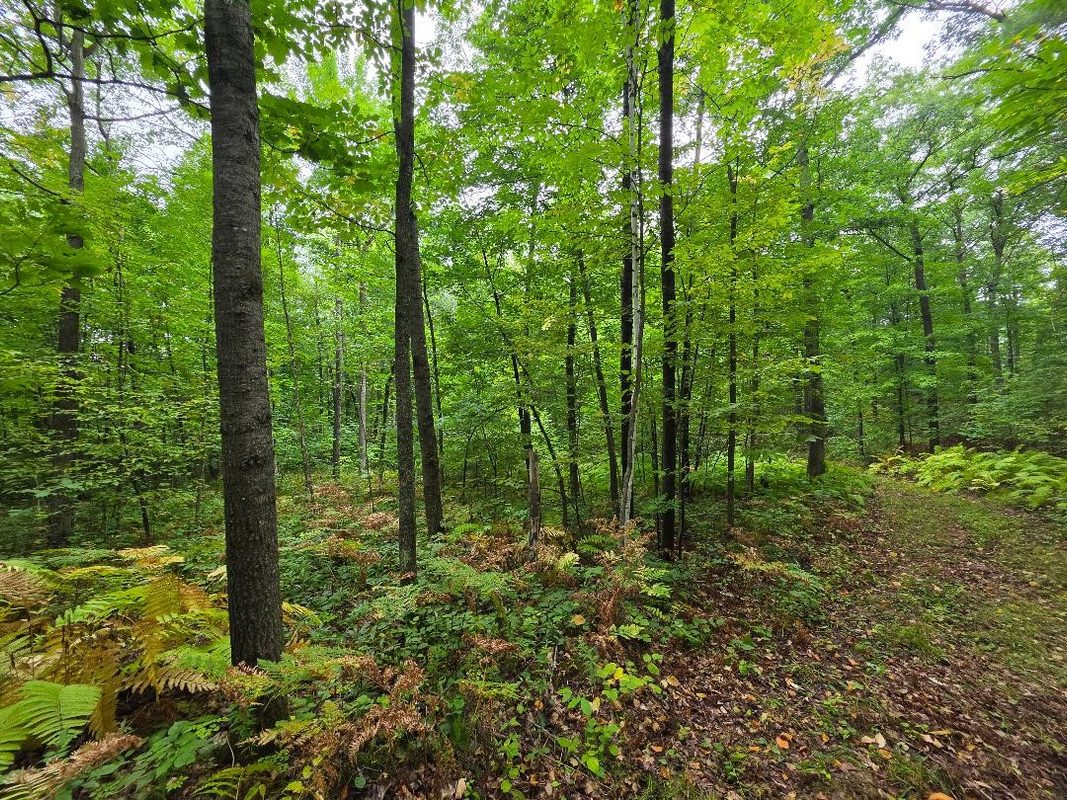 00 10 1/2-28 1/2, Barronett WI 54813 - Land house for sale - MLS #1604830 - image34