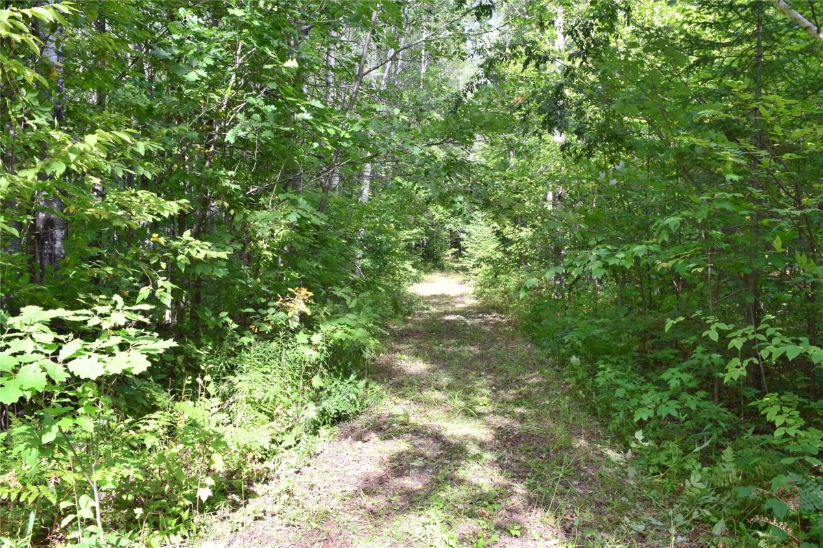 26615 Star Route Road, Bayfield WI 54814 - Land house for sale - MLS #1604800 - image37
