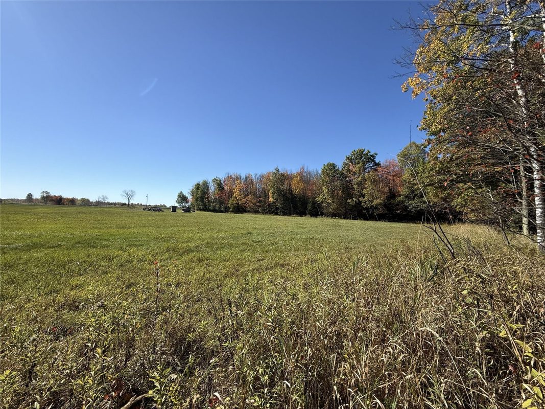 W8794 Moonshine Alley Lot 1, Catawba WI 54515 - Land house for sale - MLS #1605711 - image4