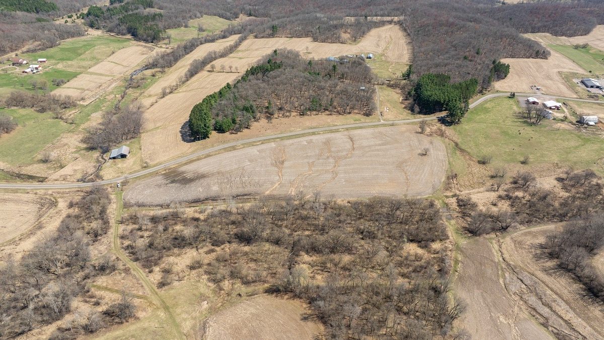 0 County Road S Blair WI 54616 — photo 18