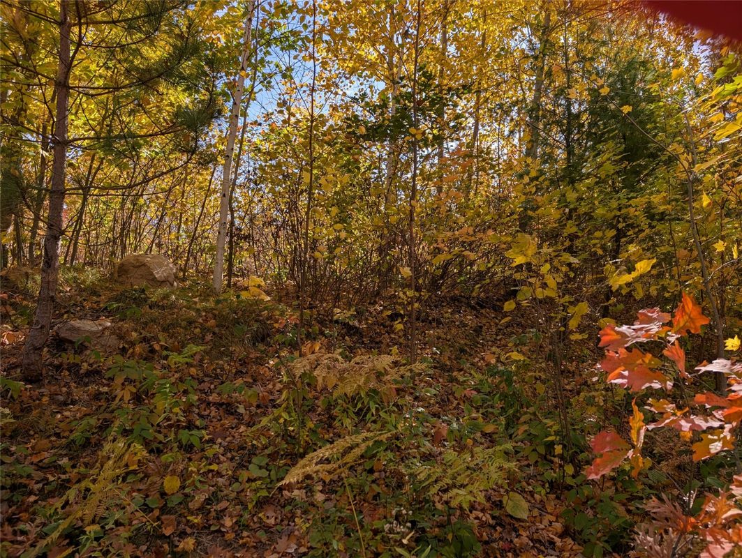 9703 Thunderbird Road, Hayward WI 54843 - Land house for sale - MLS #1605873 - image7
