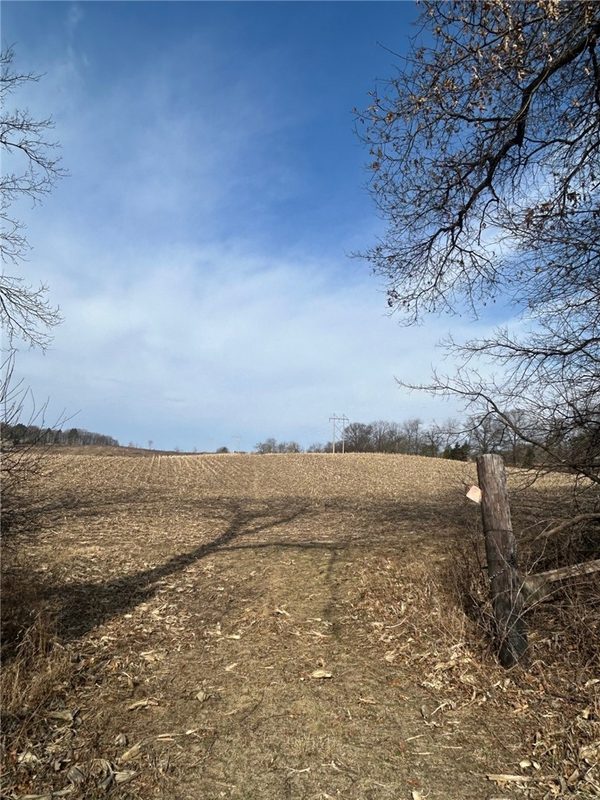 0 Ruf Road, Black River Falls, WI — photo 11