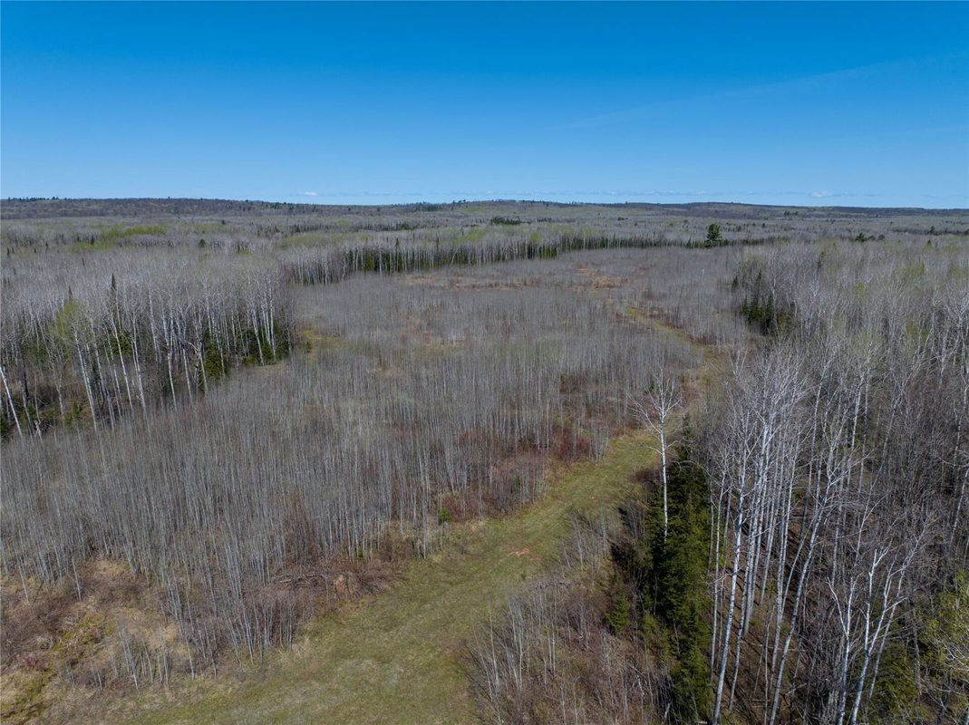 TBD Swedlund Road, Herbster WI 54844 - Land house for sale - MLS #1605965 - image5