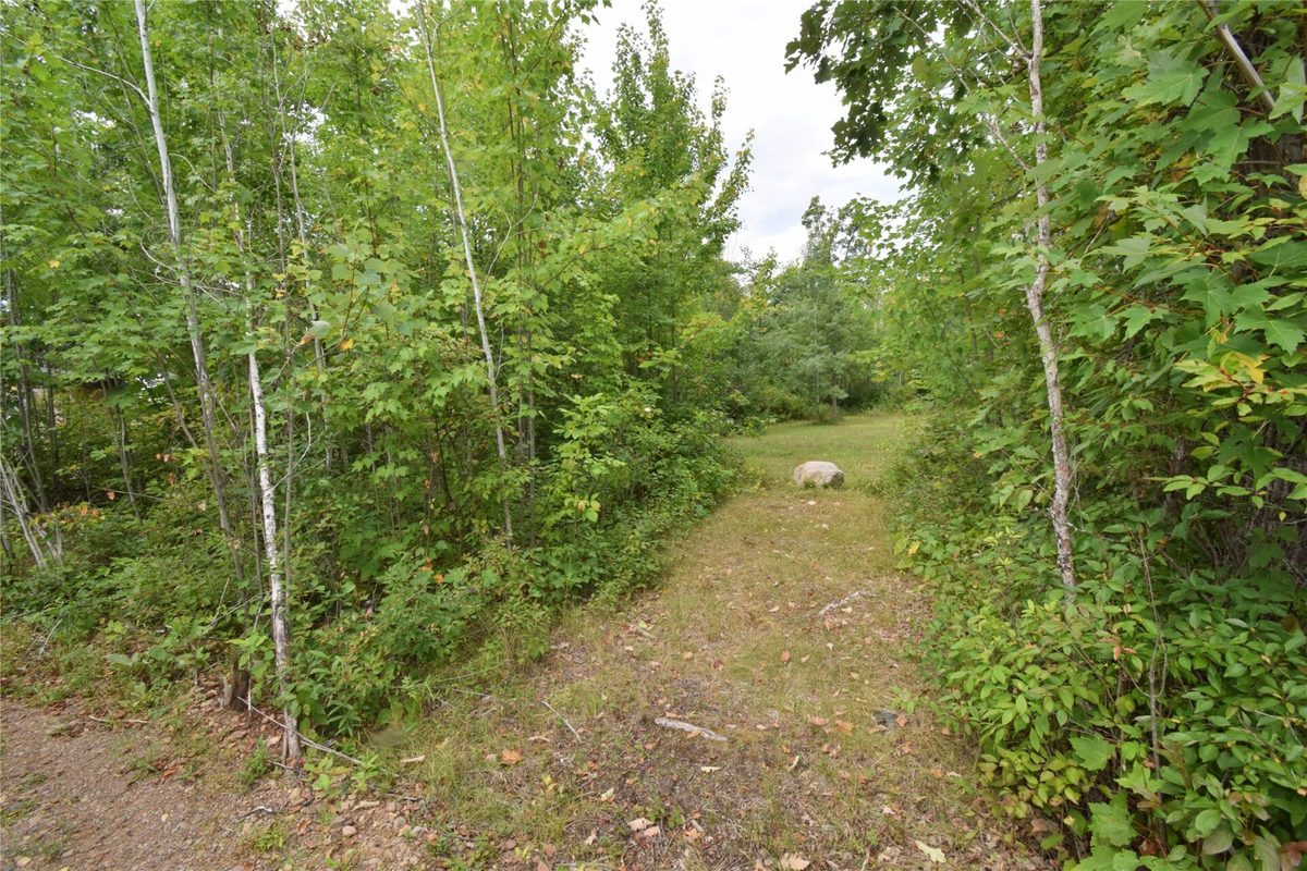 TBD State Highway 77, Danbury WI 54830 - Land house for sale - MLS #1604768 - image4