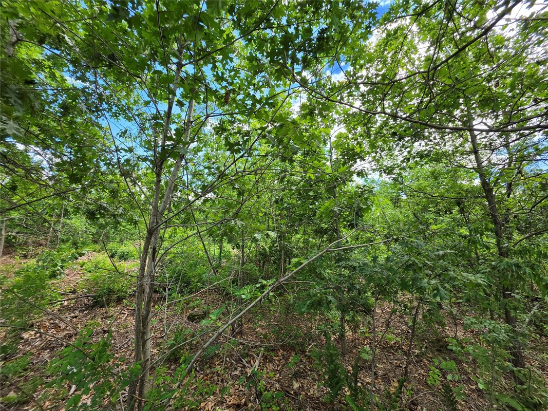 Lot 3 County Highway E, Elk Mound WI 54739 - Land house for sale - MLS #1600992 - image10