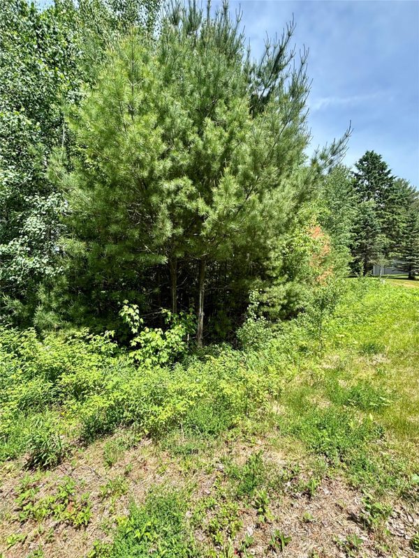 16550 Ridgerock Road, Hayward WI 54843 - Land house for sale - MLS #1591202 - image2