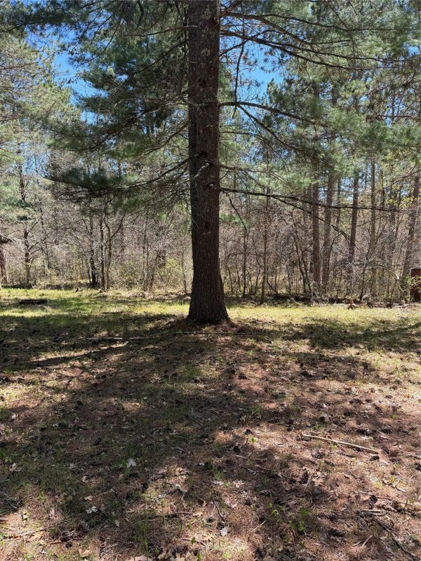 2395 Island Lake Road, Barnes WI 54873 - Land house for sale - MLS #1601454 - image9