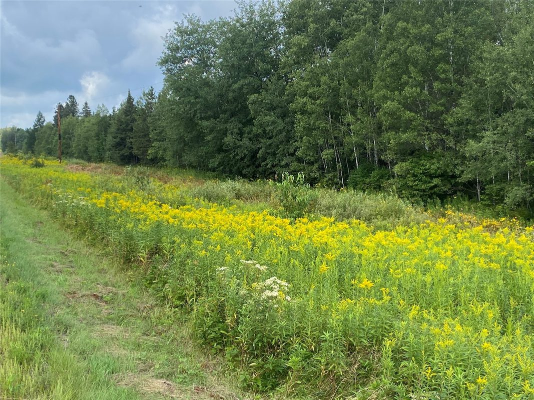 On County Highway E, Park Falls WI 54552 - Land house for sale - MLS #1599133 - image4