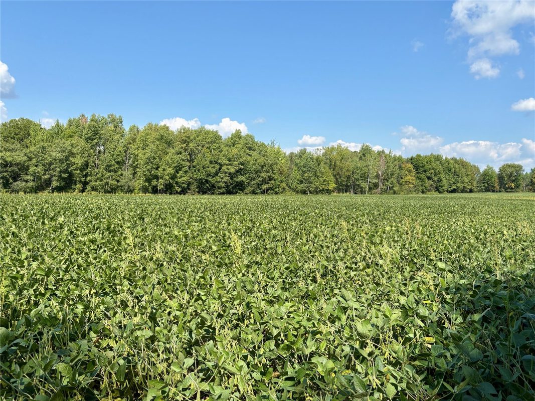 W16860 Cty Rd D, Sheldon WI 54766 - Land house for sale - MLS #1604631 - image29